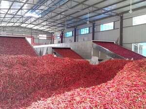 重慶辣椒烘干生產線